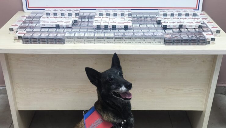 Kayseri’de Tırda 320 Paket Kaçak Sigara Ele Geçirildi