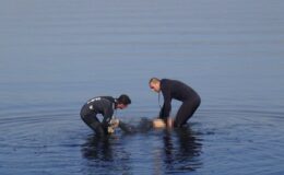Van Gölü Sahilinde 15 Yaşında Erkek Çocuğunun Cesedi Bulundu