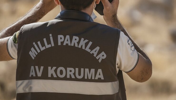 Kayseri’de Koruma Altındaki Yaban Keçisini Vuran Avcıya 953 Bin TL Ceza